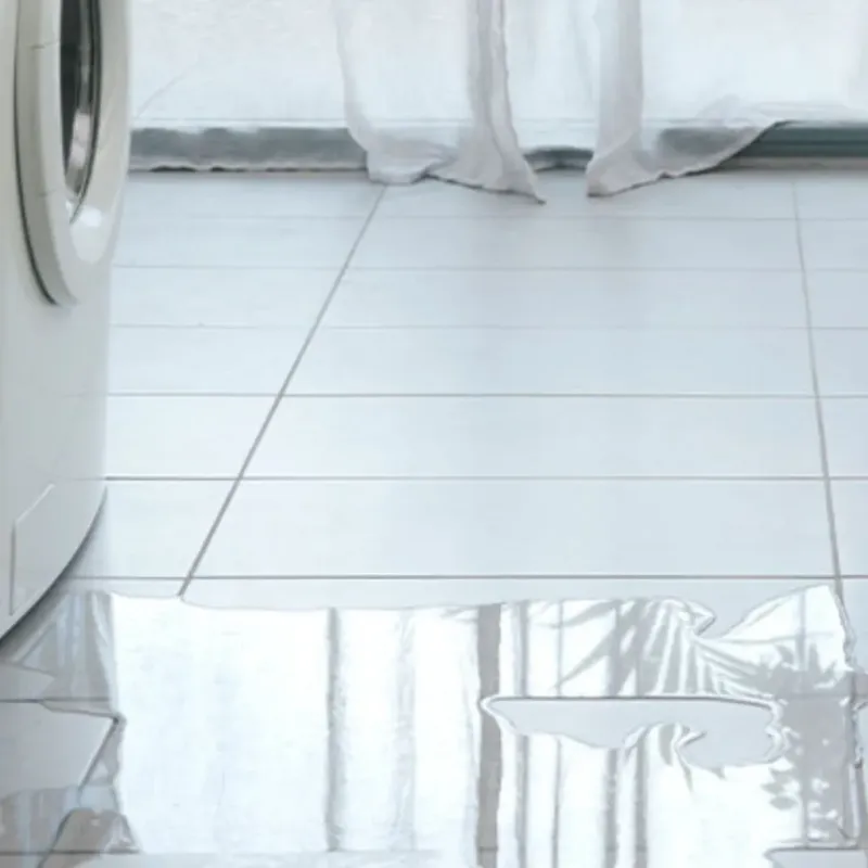 Appliance Leak Cleanup in Wyoming County, WV