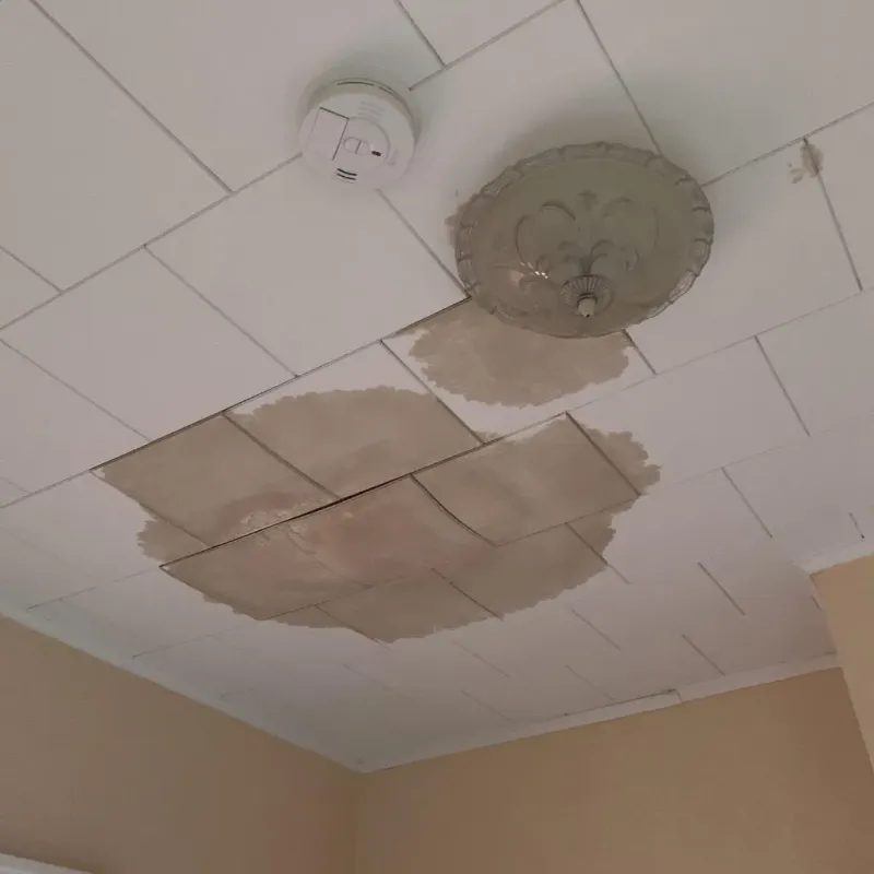 Ceiling Water Damage Repair in Wyoming County, WV