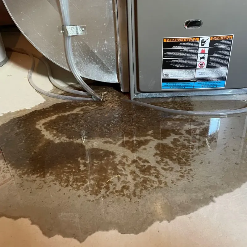 Pipe Burst and Leak Restoration in Wyoming County, WV