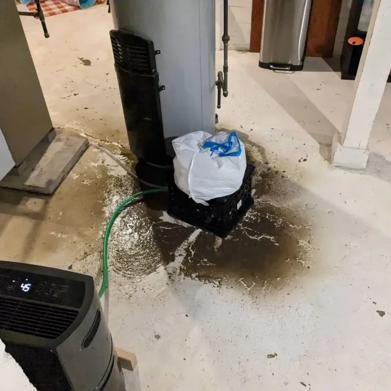 Sewage Backup Cleanup Service in Wyoming County, WV